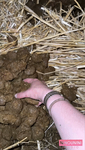 SHITTY SOFT ICE CREAM (HORSE + HUMAN SHIT)