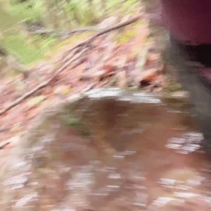 pussy pissing water on the rock