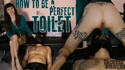 Amarena - How To Be A Perfect Toilet