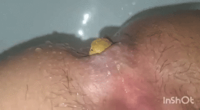 Let it go, let it go