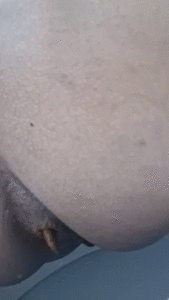 Beginner Scat - Sitting on WC,