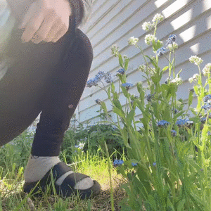 piss pussy for care flower tree