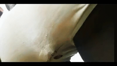 Ebony panty poop