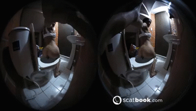 In VR Poo Toilet Girls