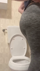 Lady Scarlet - Training and a poo