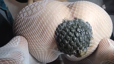 orgazm fishnets and shit