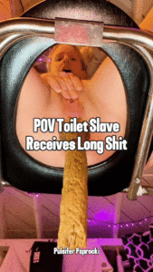 POV Toilet Slave Receives Long Shit