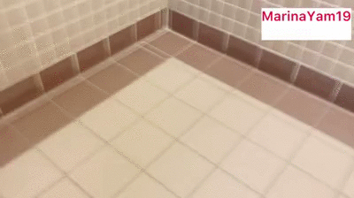 Shitting at court house