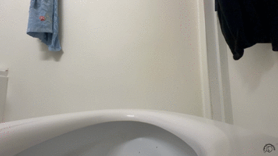 BIG ASS LOGS TOILET DROP