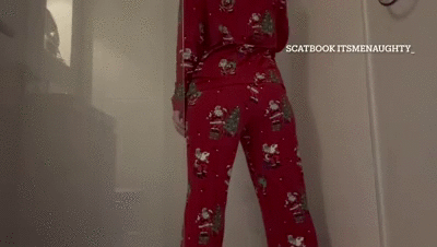 Mix of videos from scat sex to car pooing