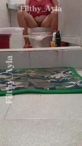 Diarrhea diaries 4 - Toilet view