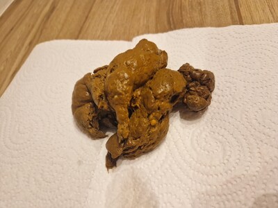 Scat 302