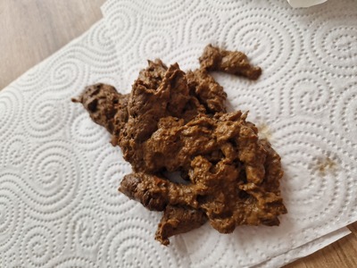 Scat 304