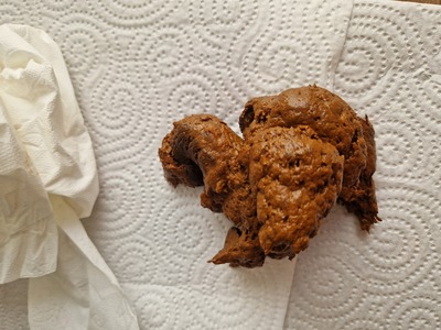 Scat 306
