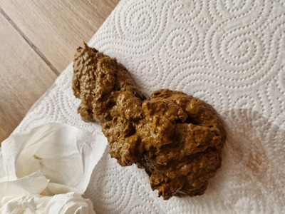 Scat 307