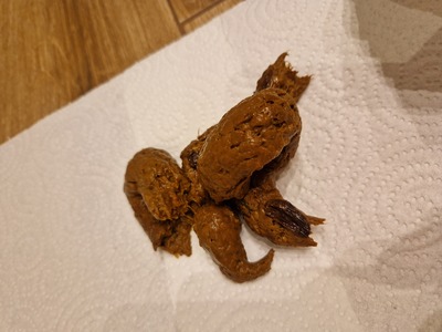 Scat 308