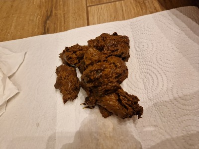 Scat 309