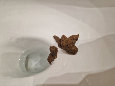 Scat 305