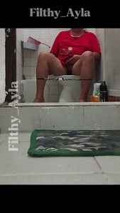 Diarrhea diaries 6 - Toilet view