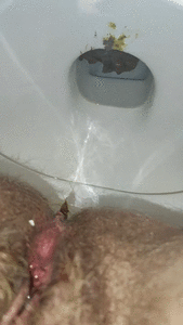 Taiwan Dine and Dump