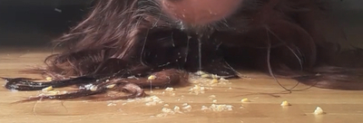 Vomit On my face up side down-cover face