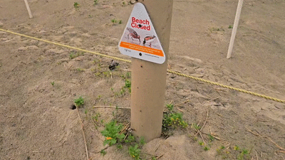 Dump In The Dunes