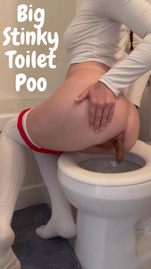 Big Stinky Toilet Poo