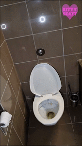 Dirty Stinky Hairy Dumps
