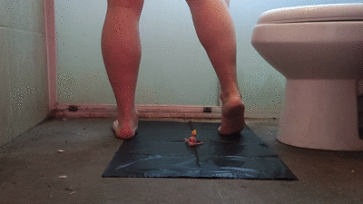 GIANTESS & SHRINKING TOILET SLAVE