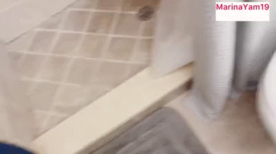 huge shit at a new guys apartment
