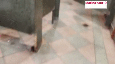 Pooping during world cup soccer