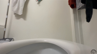 SMOOTH SOFT LOG My Ass Pushes Out Toilet Log