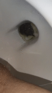 Dine and Dump: PNG and Miami