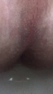 A transfem toilet POV