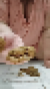 BBW POOP