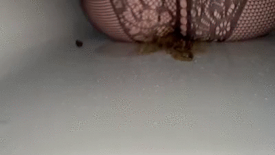 Lots of shitting