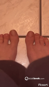PIEDS CACA PETS