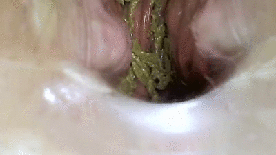 POOP ANAL PEE FARTS