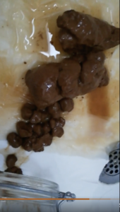 BOUFFE MA MERDE ENORME DANS LA DOUCHE