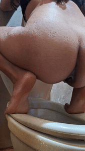 On top of the toilet bowl for pooping