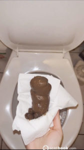 TOILET SLAVERY HARDCORE