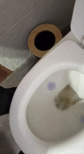Shitting with all my friends!