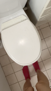 MON CACA REMPLIT LA CUVETTE DES CHIOTTES !!!