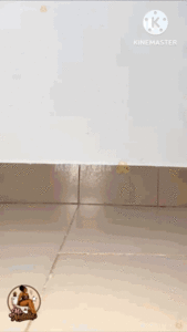 Ms. Nutella : Pooping in Heels