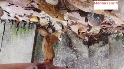 Shit outdoors/Chier dehors