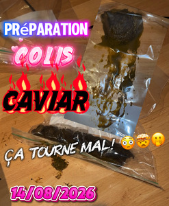 COLIS CAVIAR 14/08/2026 CA TOURNE MAL !