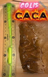 COLIS GROS CACA 20 CM 10/08/2026
