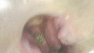 EAT POOP ANAL PEE FARTS