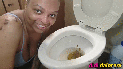 toilet bowl destruction