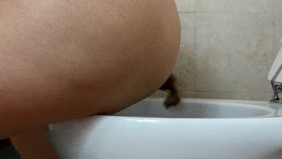 Shit on the wall